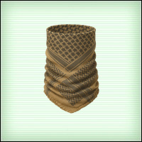 Файл:Cup fg2025 scarf b.jpg