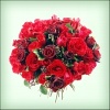 Красные Розы